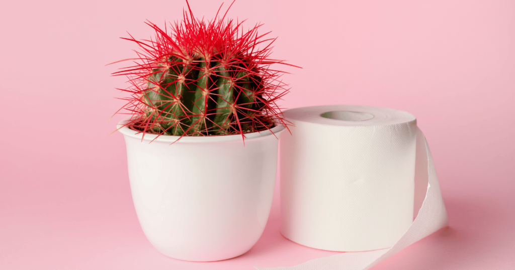 Cactus et rouleau de papier toilette représentant la douleur hémorroïdaire